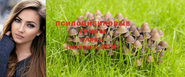 мескалин Лабытнанги