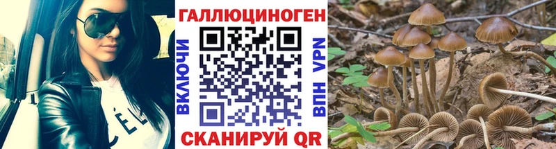 Псилоцибиновые грибы Cubensis  наркотики  ссылка на мегу ТОР  Томилино 