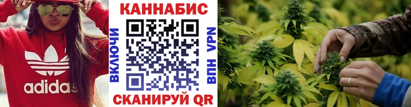 Каннабис план  Томилино 